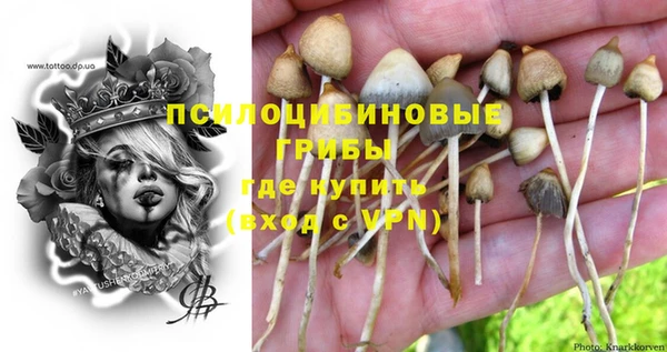 экстази Горняк