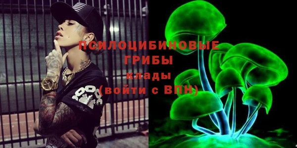 экстази Горняк